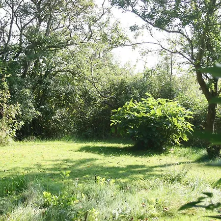 Louisenkate * פלוורם